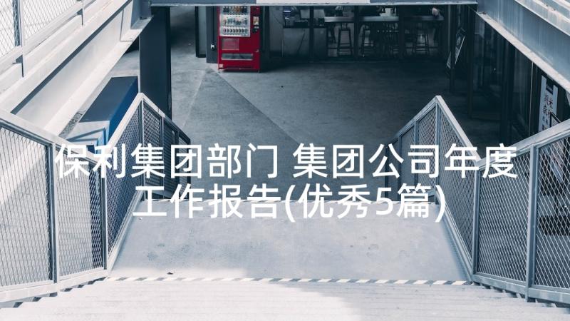 保利集团部门 集团公司年度工作报告(优秀5篇)