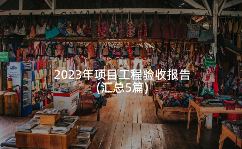 2023年项目工程验收报告(汇总5篇)