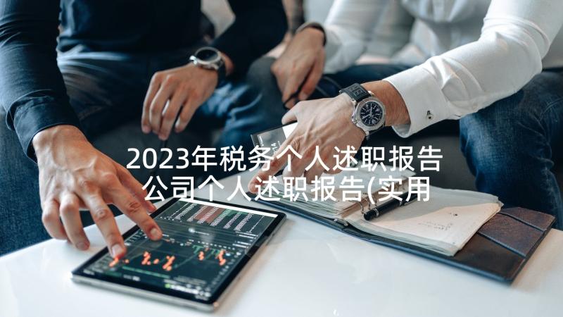 2023年税务个人述职报告 公司个人述职报告(实用10篇)