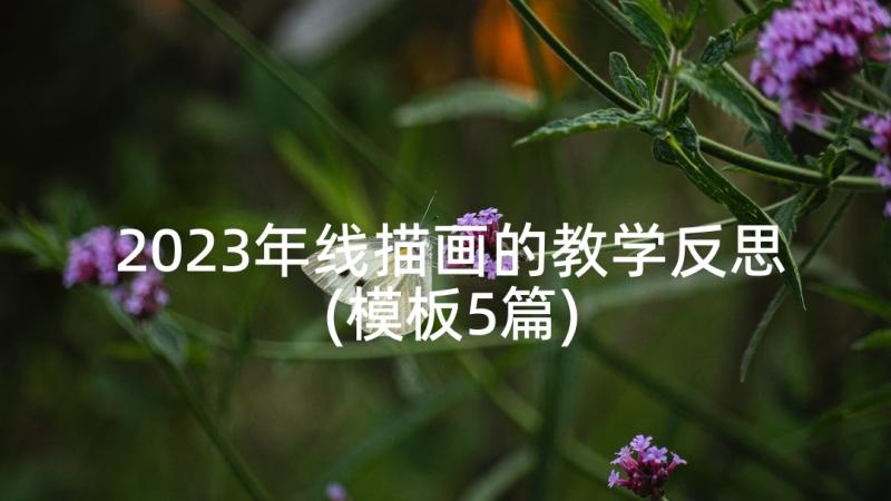 2023年线描画的教学反思(模板5篇)