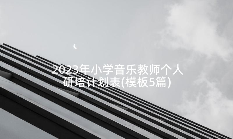 2023年小学音乐教师个人研培计划表(模板5篇)