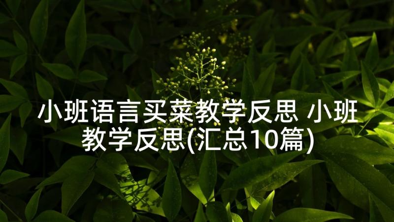 小班语言买菜教学反思 小班教学反思(汇总10篇)