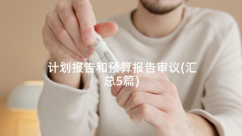 计划报告和预算报告审议(汇总5篇)