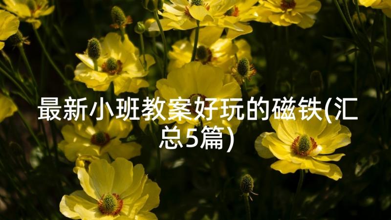 最新小班教案好玩的磁铁(汇总5篇)