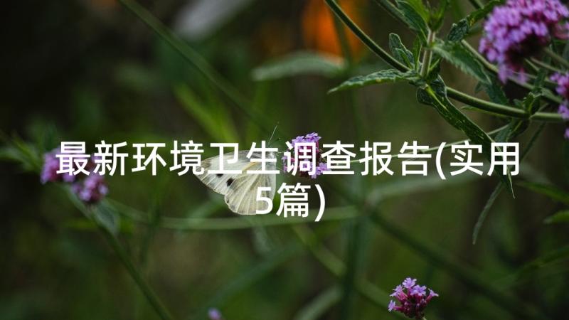 最新环境卫生调查报告(实用5篇)