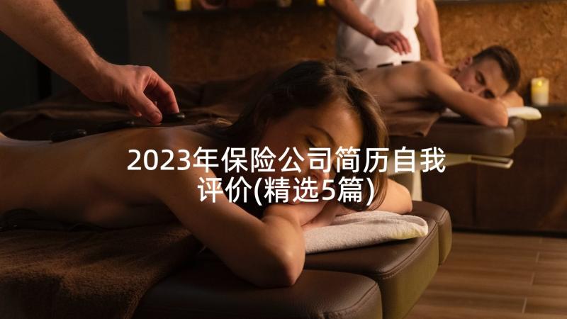 2023年保险公司简历自我评价(精选5篇)