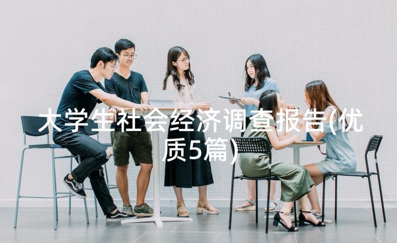 大学生社会经济调查报告(优质5篇)