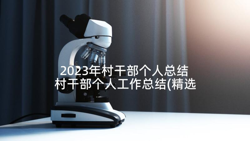 2023年村干部个人总结 村干部个人工作总结(精选5篇)