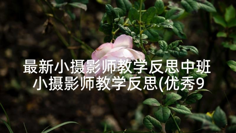 最新小摄影师教学反思中班 小摄影师教学反思(优秀9篇)