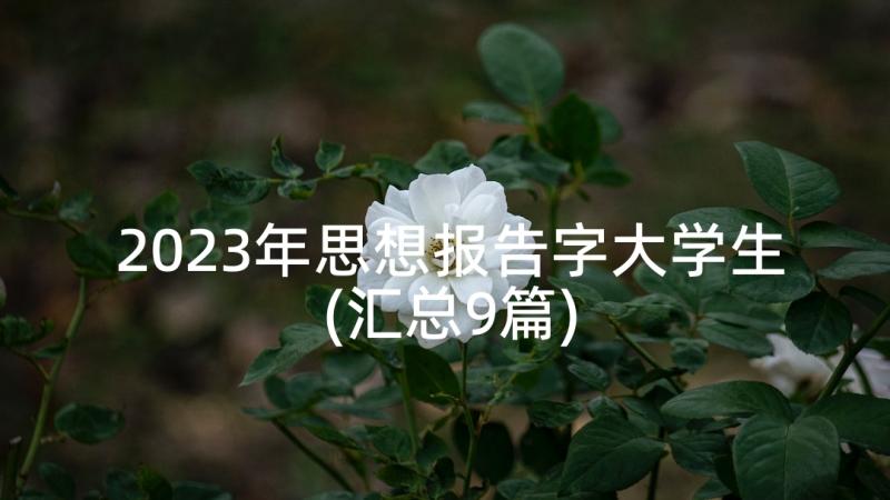 2023年思想报告字大学生(汇总9篇)