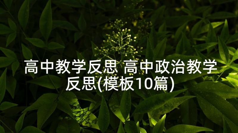 高中教学反思 高中政治教学反思(模板10篇)