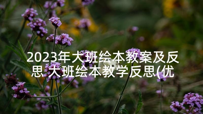 2023年大班绘本教案及反思 大班绘本教学反思(优质5篇)