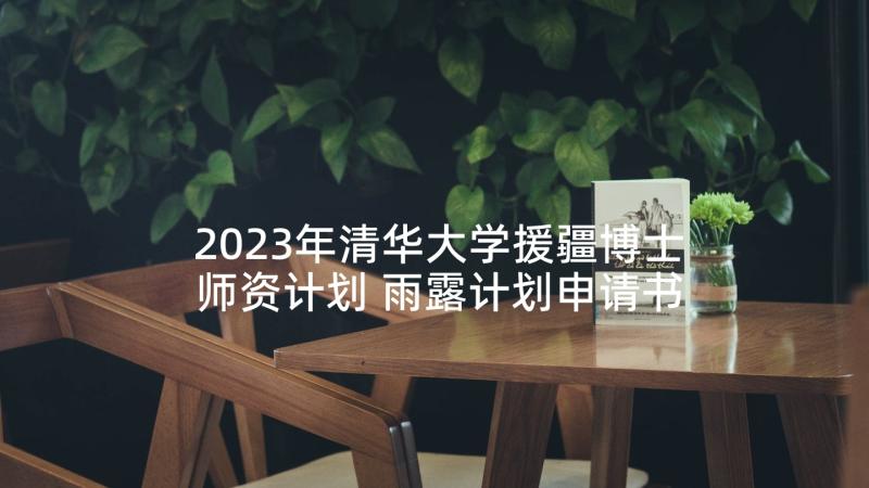 2023年清华大学援疆博士师资计划 雨露计划申请书格式(精选8篇)