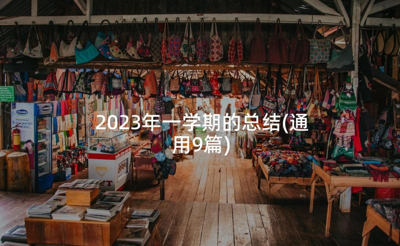 2023年一学期的总结(通用9篇)