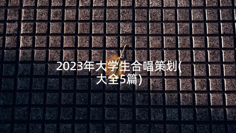 2023年大学生合唱策划(大全5篇)