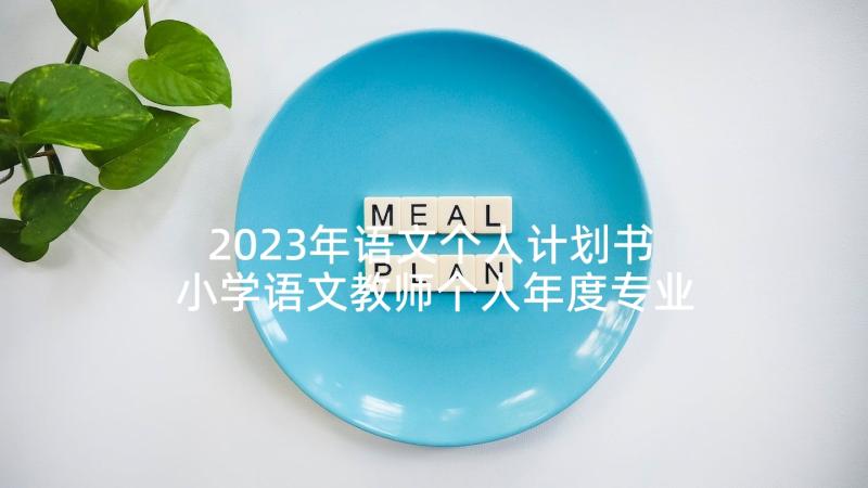 2023年语文个人计划书 小学语文教师个人年度专业发展计划(精选5篇)