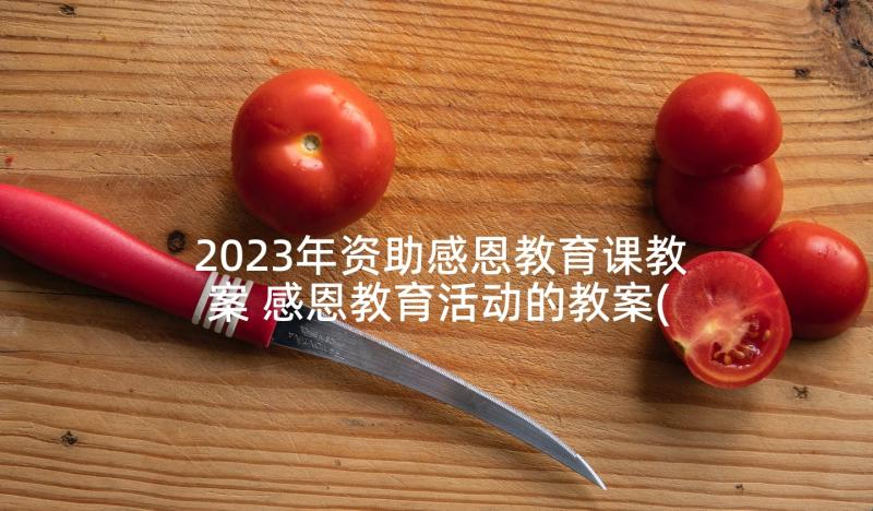 2023年资助感恩教育课教案 感恩教育活动的教案(大全5篇)