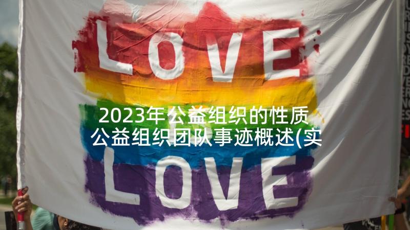 2023年公益组织的性质 公益组织团队事迹概述(实用6篇)