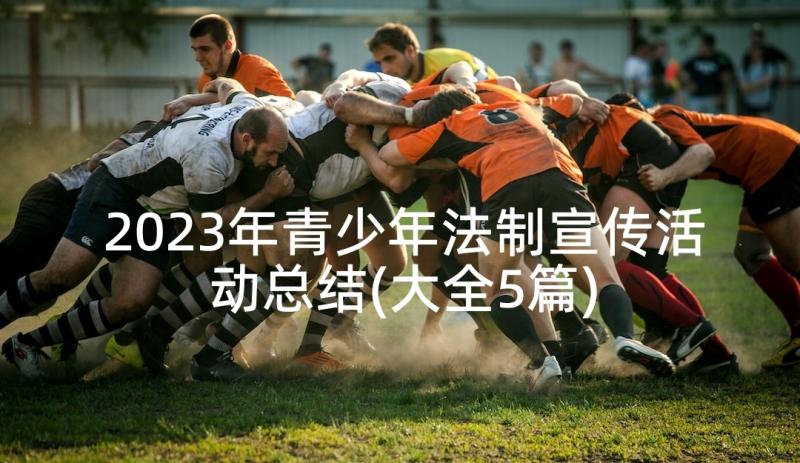 2023年青少年法制宣传活动总结(大全5篇)