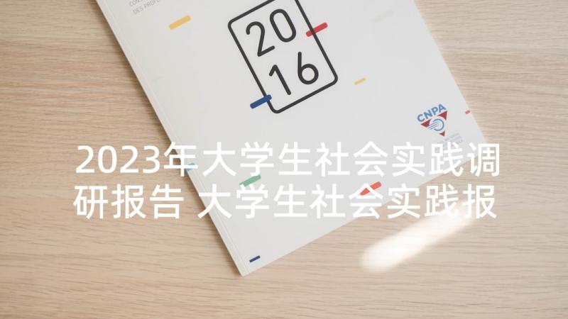 2023年大学生社会实践调研报告 大学生社会实践报告(精选9篇)