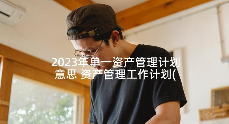 2023年单一资产管理计划意思 资产管理工作计划(通用9篇)