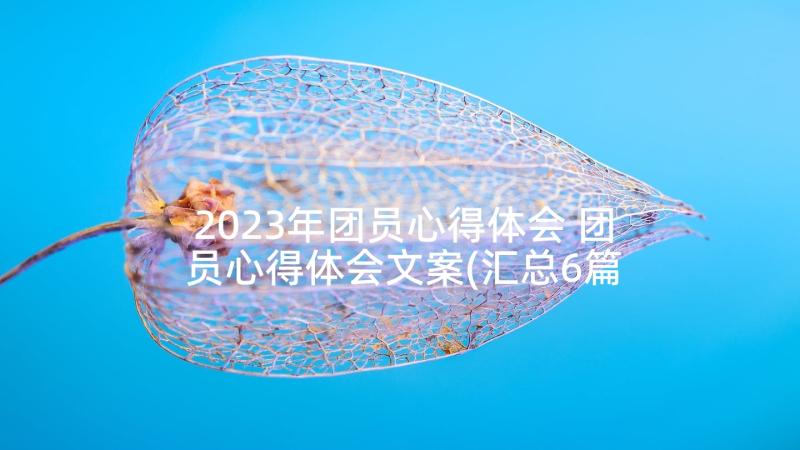 2023年团员心得体会 团员心得体会文案(汇总6篇)