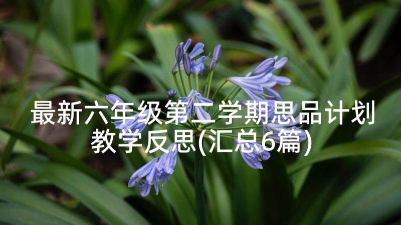 最新六年级第二学期思品计划教学反思(汇总6篇)