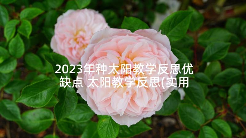 2023年种太阳教学反思优缺点 太阳教学反思(实用6篇)