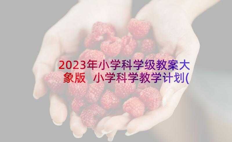 2023年小学科学级教案大象版 小学科学教学计划(实用8篇)