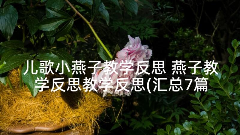 儿歌小燕子教学反思 燕子教学反思教学反思(汇总7篇)