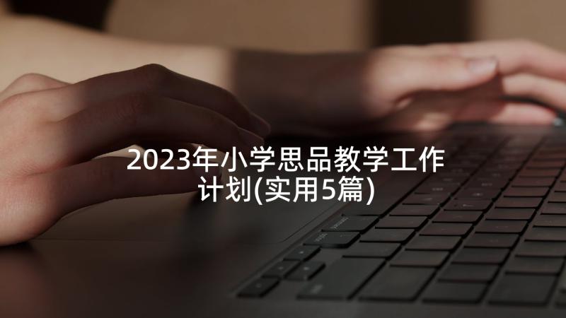 2023年小学思品教学工作计划(实用5篇)