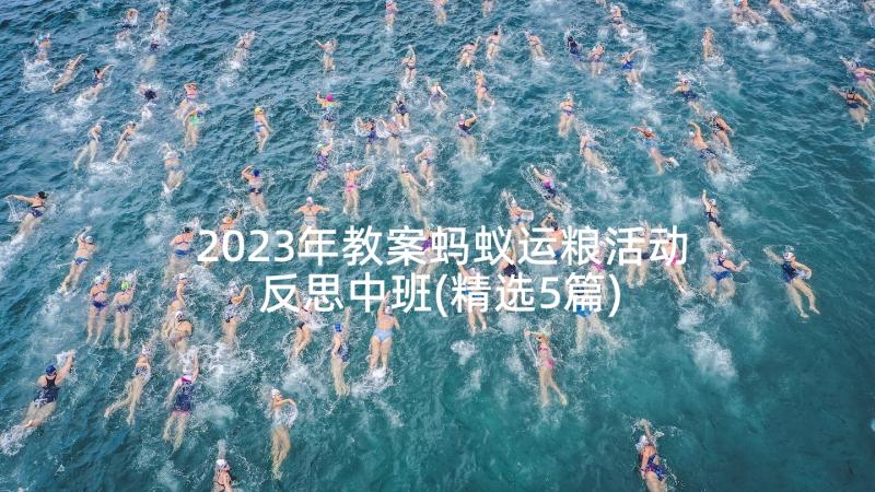 2023年教案蚂蚁运粮活动反思中班(精选5篇)