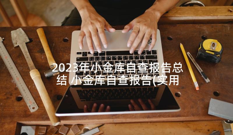 2023年小金库自查报告总结 小金库自查报告(实用10篇)