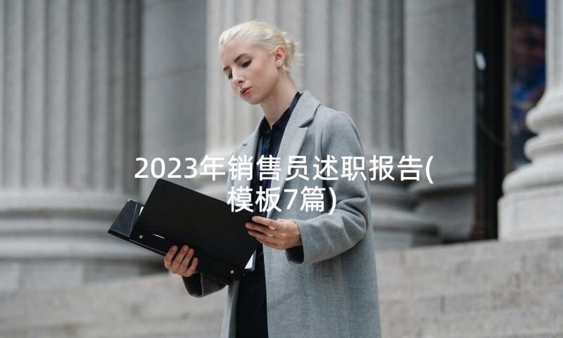 2023年销售员述职报告(模板7篇)