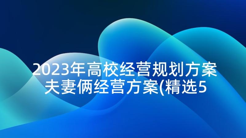 2023年高校经营规划方案 夫妻俩经营方案(精选5篇)