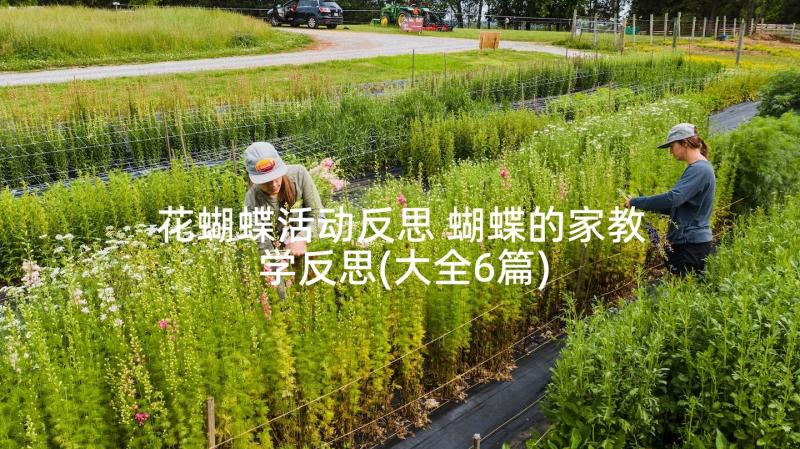 花蝴蝶活动反思 蝴蝶的家教学反思(大全6篇)