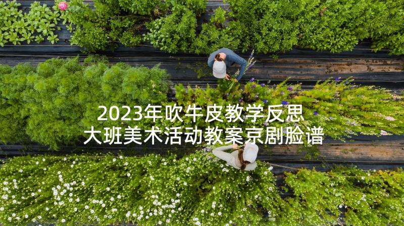 2023年吹牛皮教学反思 大班美术活动教案京剧脸谱含反思(大全9篇)