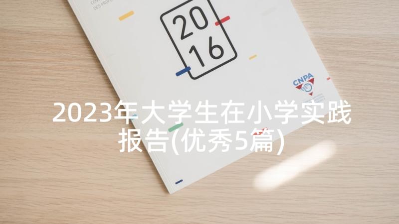 2023年大学生在小学实践报告(优秀5篇)