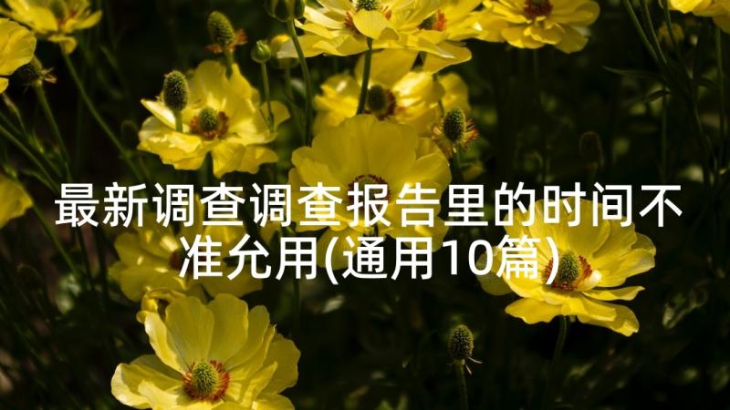 最新调查调查报告里的时间不准允用(通用10篇)