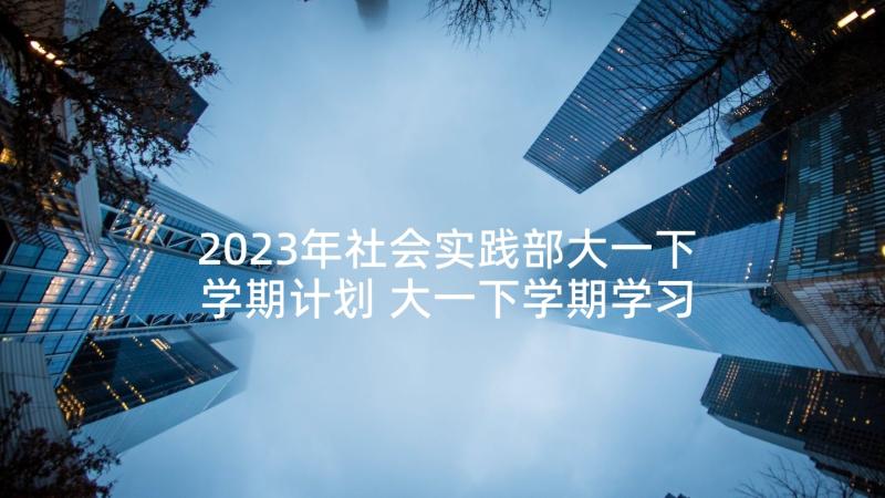 2023年社会实践部大一下学期计划 大一下学期学习计划(优秀5篇)