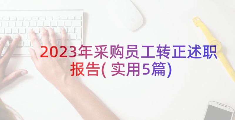 2023年采购员工转正述职报告(实用5篇)