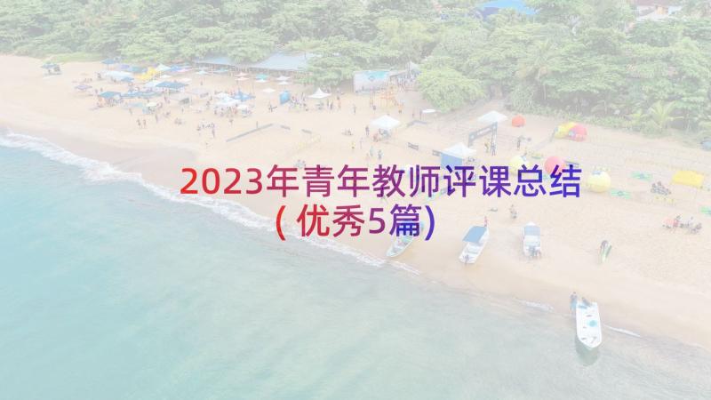 2023年青年教师评课总结(优秀5篇)