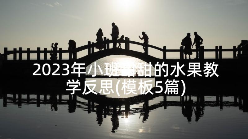 2023年小班甜甜的水果教学反思(模板5篇)