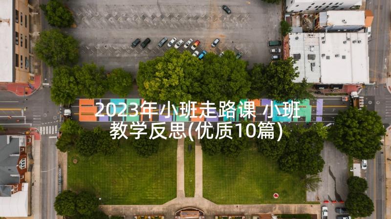 2023年小班走路课 小班教学反思(优质10篇)