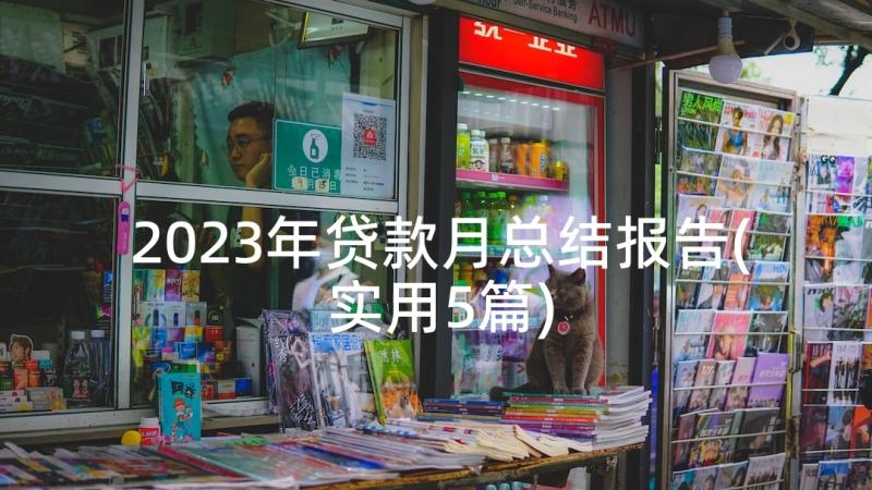 2023年贷款月总结报告(实用5篇)