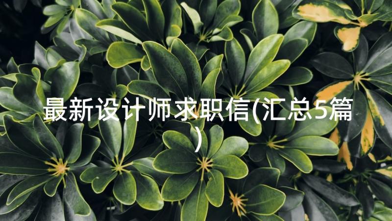 最新设计师求职信(汇总5篇)