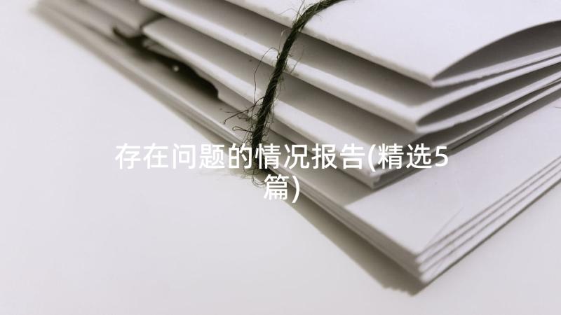 存在问题的情况报告(精选5篇)