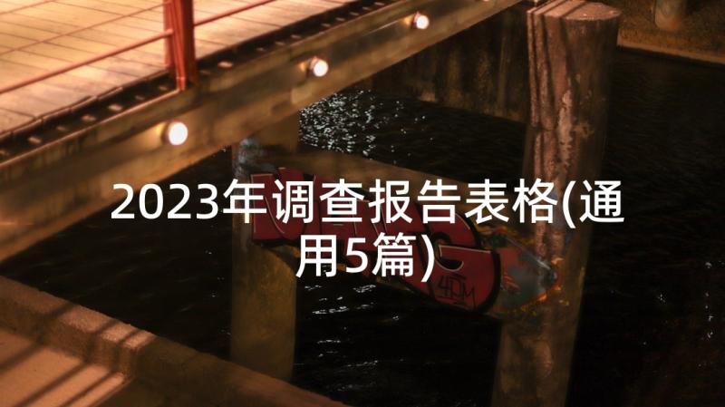 2023年调查报告表格(通用5篇)