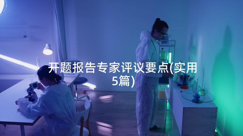 开题报告专家评议要点(实用5篇)