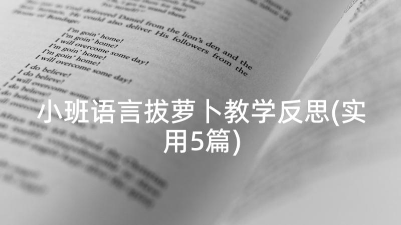 小班语言拔萝卜教学反思(实用5篇)